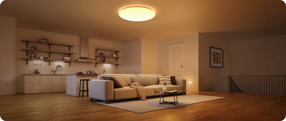 Diagram of the local LAN network architecture for integrating Yeelight lighting with the Home Assistant system without cloud mediation