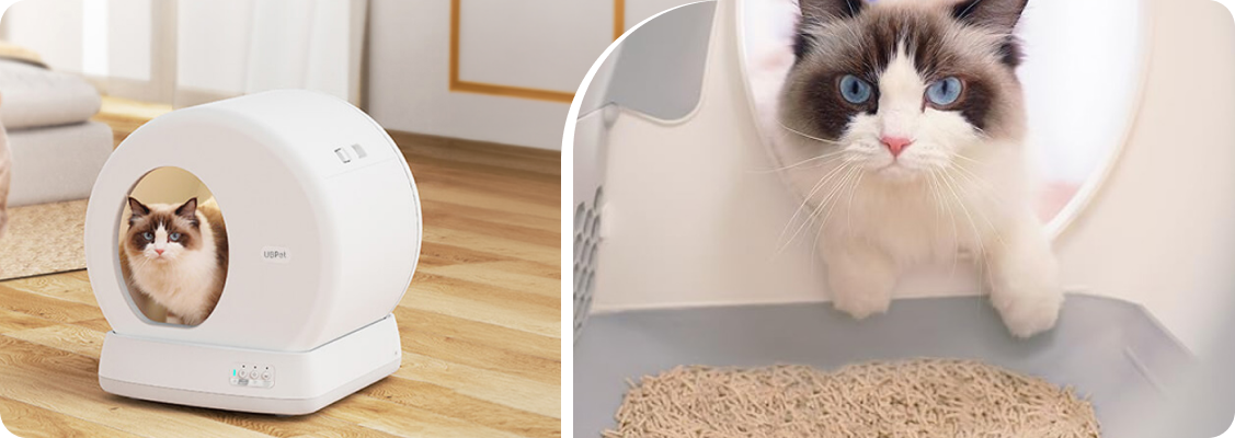 Modern automatic litter box ready for use
