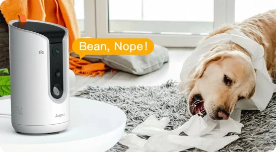 Monitoring i bezpieczeństwo