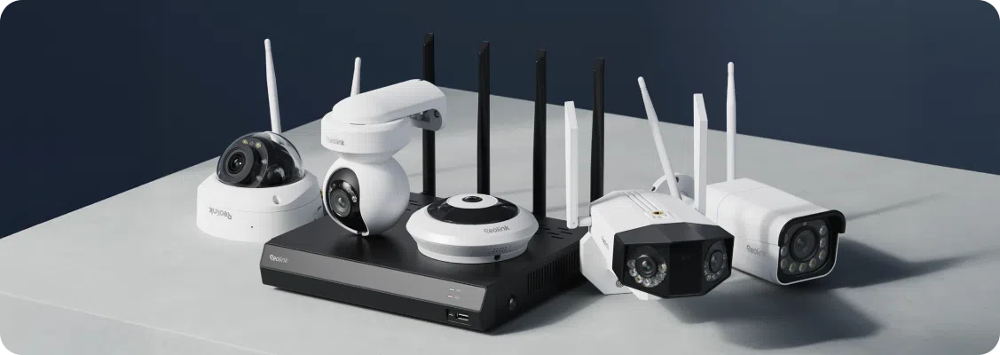 Reolink NVR recorder as the center of the Smart Home monitoring system