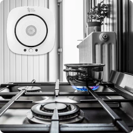 Czujniki i detektory