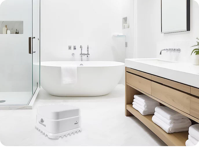 Czujniki i detektory