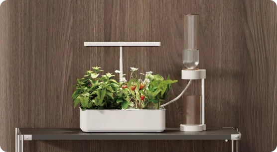 Aktywność i relaks